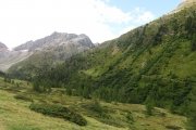 IMG_0019
