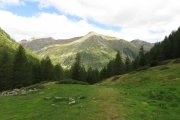 IMG_0020