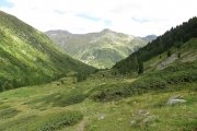 IMG_0031
