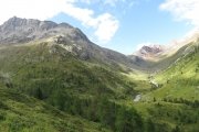 IMG_0045