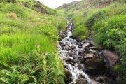 IMG_0047