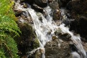 IMG_0050