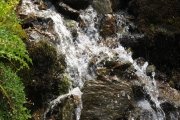 IMG_0052