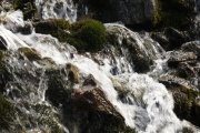 IMG_0070