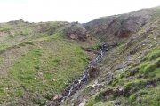IMG_0075