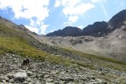 IMG_0100