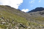 IMG_0102