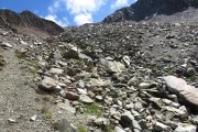 IMG_0154