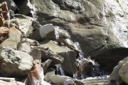 IMG_0158