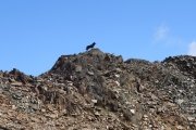 IMG_0224