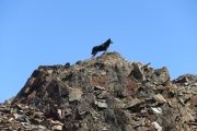 IMG_0229