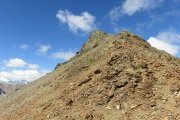 IMG_0245