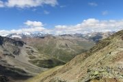 IMG_0311