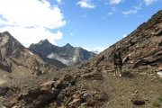 IMG_0420