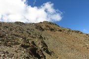 IMG_0433