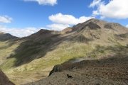 IMG_0487