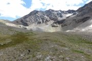 IMG_0526