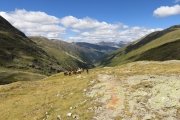 IMG_0530