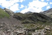 IMG_0540