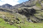 IMG_0545