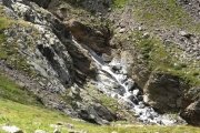 IMG_0547