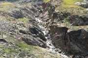 IMG_0550