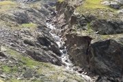 IMG_0552