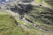 IMG_0554
