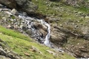 IMG_0557