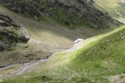 IMG_0559
