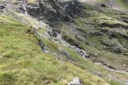 IMG_0561