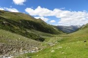 IMG_0590