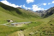 IMG_0592
