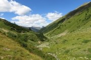 IMG_0598