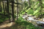 IMG_0604
