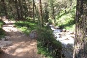 IMG_0606