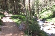 IMG_0608