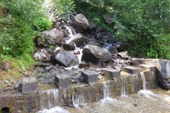 IMG_0008