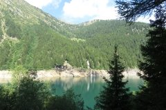 IMG_0010