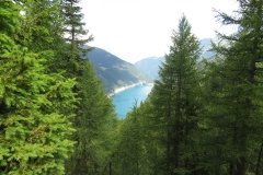 IMG_0031