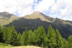IMG_0037