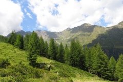 IMG_0039