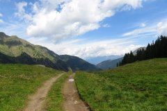 IMG_0047