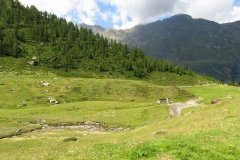 IMG_0053