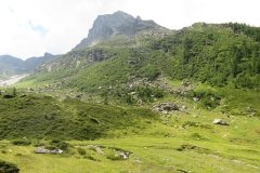 IMG_0054
