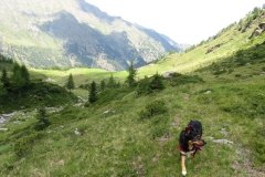 IMG_0061