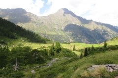 IMG_0065