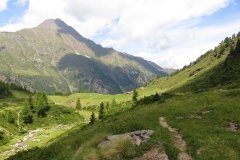 IMG_0067