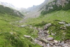 IMG_0068