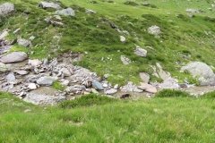 IMG_0070